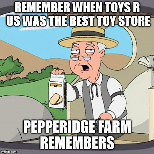 it still hurts >< | REMEMBER WHEN TOYS R US WAS THE BEST TOY STORE; PEPPERIDGE FARM REMEMBERS | image tagged in memes,pepperidge farm remembers | made w/ Imgflip meme maker