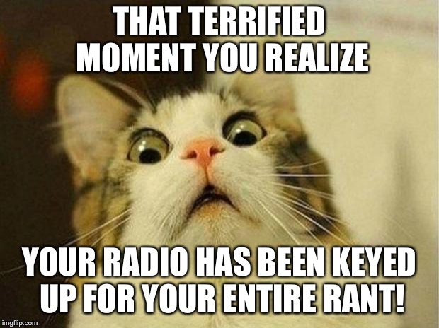 Scared Cat | THAT TERRIFIED MOMENT YOU REALIZE; YOUR RADIO HAS BEEN KEYED UP FOR YOUR ENTIRE RANT! | image tagged in memes,scared cat | made w/ Imgflip meme maker