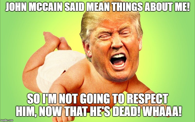 Baby Trump | JOHN MCCAIN SAID MEAN THINGS ABOUT ME! SO I'M NOT GOING TO RESPECT HIM, NOW THAT HE'S DEAD! WHAAA! | image tagged in baby trump | made w/ Imgflip meme maker