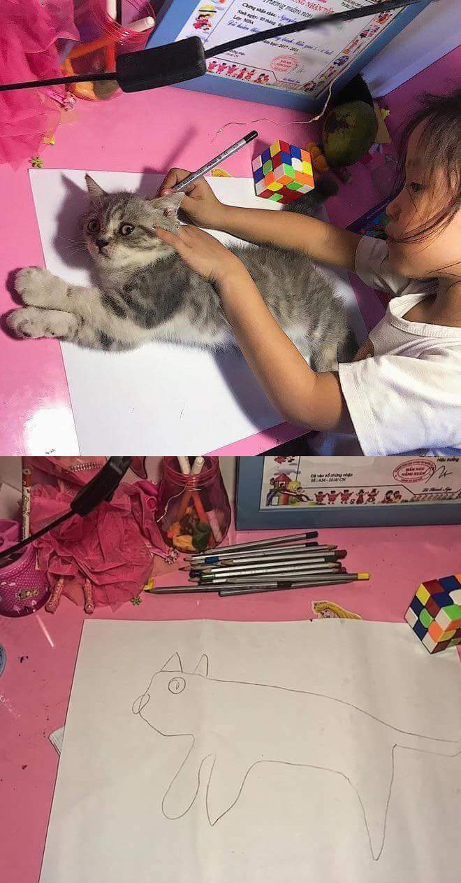 High Quality Cat Trace Blank Meme Template