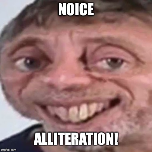 Noice | NOICE ALLITERATION! | image tagged in noice | made w/ Imgflip meme maker