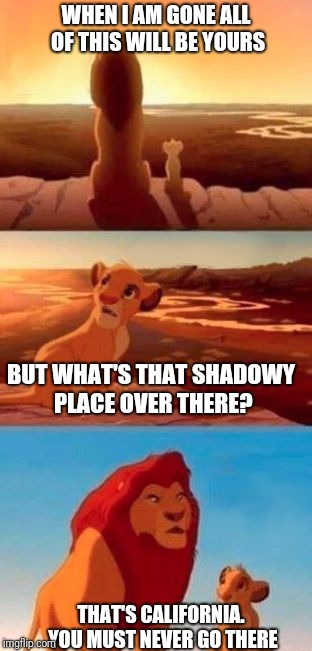 simba | WHEN I AM GONE ALL OF THIS WILL BE YOURS BUT WHAT'S THAT SHADOWY PLACE OVER THERE? THAT'S CALIFORNIA. YOU MUST NEVER GO THERE | image tagged in simba | made w/ Imgflip meme maker