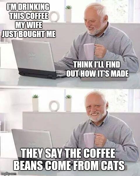 Hide the pain harold  | I'M DRINKING THIS COFFEE MY WIFE JUST BOUGHT ME; THINK I'LL FIND OUT HOW IT'S MADE; THEY SAY THE COFFEE BEANS COME FROM CATS | image tagged in memes,hide the pain harold,coffee,gross,why me,starbucks | made w/ Imgflip meme maker