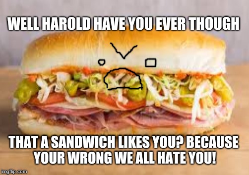 we dont like you! | WELL HAROLD HAVE YOU EVER THOUGH; THAT A SANDWICH LIKES YOU? BECAUSE YOUR WRONG WE ALL HATE YOU! | image tagged in sandwich,no one,sandwich freedom | made w/ Imgflip meme maker