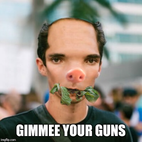 Anybody know where we can find a big bad wolf about now? | GIMMEE YOUR GUNS | image tagged in david hogg,rediculous,annoying,smug,ignorance,funny | made w/ Imgflip meme maker