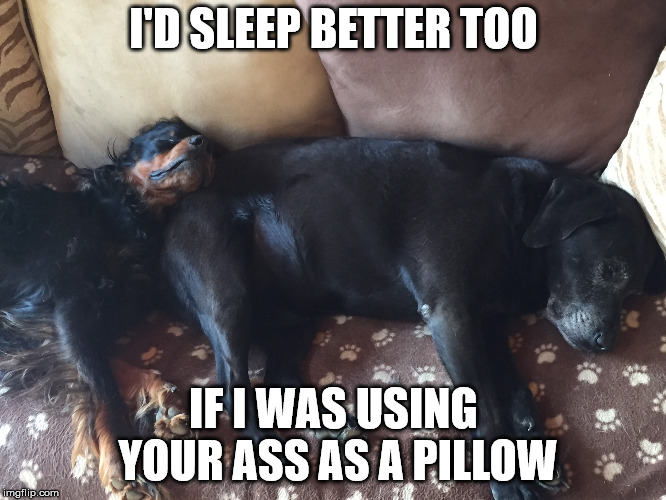 I'D SLEEP BETTER TOO; IF I WAS USING YOUR ASS AS A PILLOW | image tagged in sleep | made w/ Imgflip meme maker