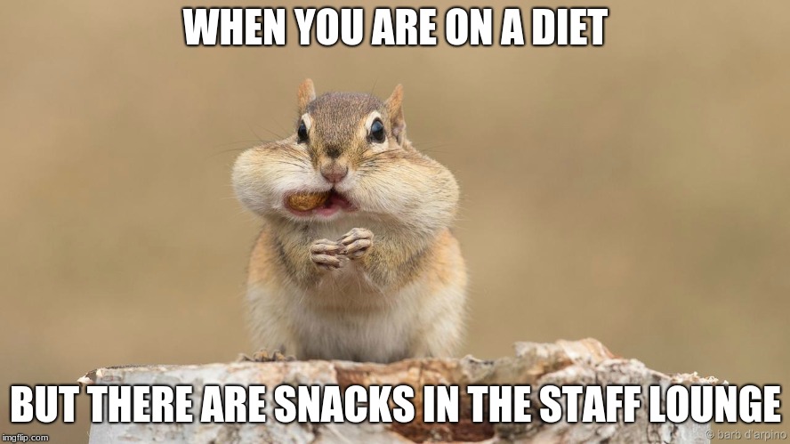 WHEN YOU ARE ON A DIET; BUT THERE ARE SNACKS IN THE STAFF LOUNGE | made w/ Imgflip meme maker