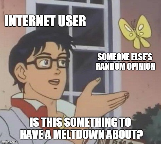 Is This A Pigeon Meme | INTERNET USER SOMEONE ELSE'S RANDOM OPINION IS THIS SOMETHING TO HAVE A MELTDOWN ABOUT? | image tagged in memes,is this a pigeon | made w/ Imgflip meme maker