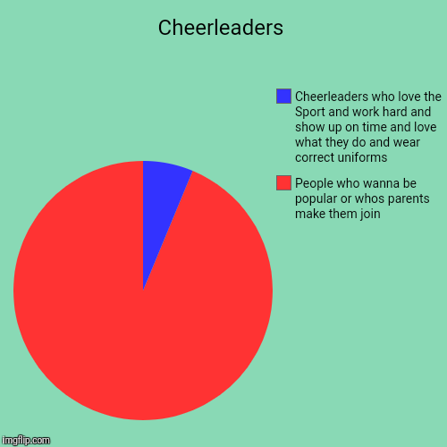 Cheerleaders | People who wanna be popular or whos parents make them join, Cheerleaders who love the Sport and work hard and show up on time | image tagged in funny,pie charts | made w/ Imgflip chart maker