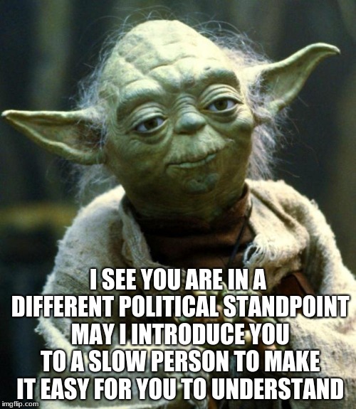 Star Wars Yoda | I SEE YOU ARE IN A DIFFERENT POLITICAL STANDPOINT MAY I INTRODUCE YOU TO A SLOW PERSON TO MAKE IT EASY FOR YOU TO UNDERSTAND | image tagged in memes,star wars yoda | made w/ Imgflip meme maker