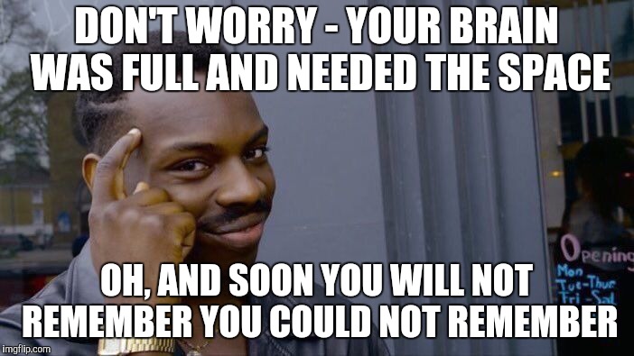 Roll Safe Think About It Meme | DON'T WORRY - YOUR BRAIN WAS FULL AND NEEDED THE SPACE OH, AND SOON YOU WILL NOT REMEMBER YOU COULD NOT REMEMBER | image tagged in memes,roll safe think about it | made w/ Imgflip meme maker