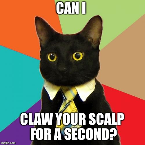 Business Cat Meme | CAN I; CLAW YOUR SCALP FOR A SECOND? | image tagged in memes,business cat | made w/ Imgflip meme maker