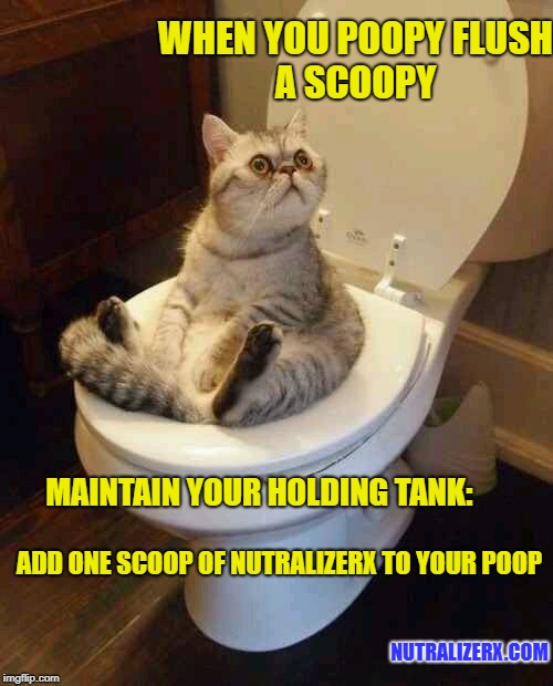 when you poopy | WHEN YOU POOPY
FLUSH A SCOOPY; MAINTAIN YOUR HOLDING TANK:; ADD ONE SCOOP OF NUTRALIZERX TO YOUR POOP; NUTRALIZERX.COM | image tagged in toilet cat,poop,toilet,funny,boat | made w/ Imgflip meme maker
