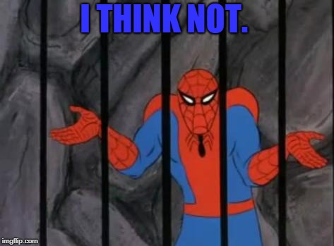 spiderman jail | I THINK NOT. | image tagged in spiderman jail | made w/ Imgflip meme maker