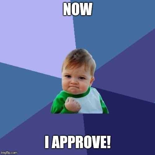 Success Kid Meme | NOW I APPROVE! | image tagged in memes,success kid | made w/ Imgflip meme maker