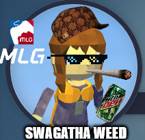 Only Kogama Discorders will understand | SWAGATHA WEED | image tagged in memes,kogama,mlg,video games | made w/ Imgflip meme maker