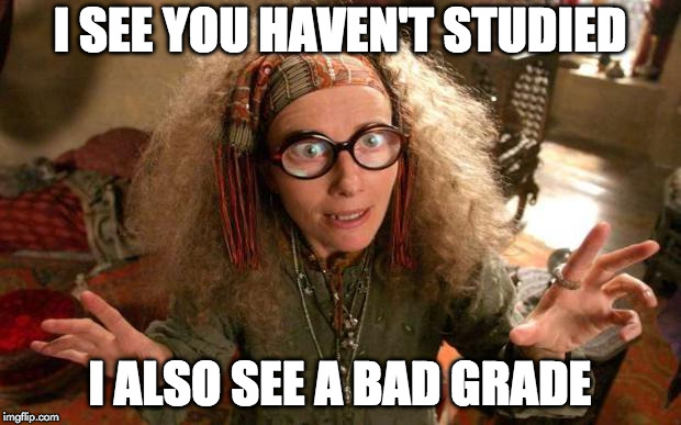 funny harry potter professor | I SEE YOU HAVEN'T STUDIED; I ALSO SEE A BAD GRADE | image tagged in funny harry potter professor | made w/ Imgflip meme maker