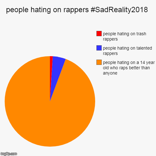 sad reality of people hating on rappers | people hating on rappers #SadReality2018 | people hating on a 14 year old who raps better than anyone, people hating on talented rappers, pe | image tagged in pie charts,truth,sad reality,sad,depression | made w/ Imgflip chart maker