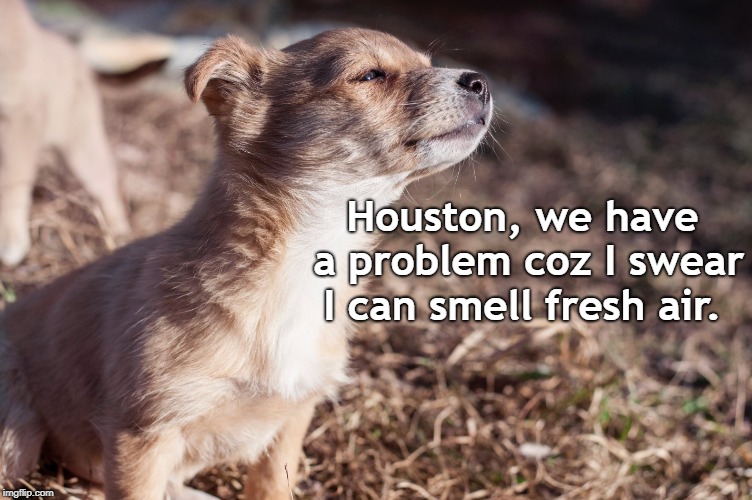 Houston, we have a problem coz I swear I can smell fresh air. | made w/ Imgflip meme maker