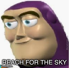 REACH FOR THE SKY | image tagged in bizz lit-yere | made w/ Imgflip meme maker