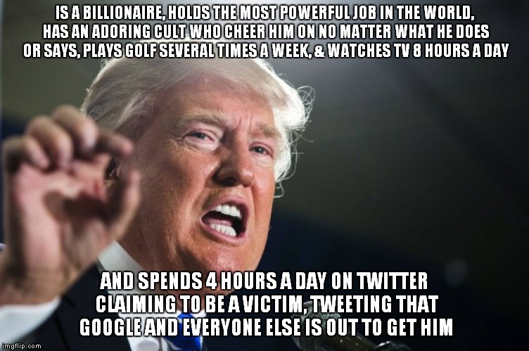 Who Wants To Be A Billionaire | IS A BILLIONAIRE, HOLDS THE MOST POWERFUL JOB IN THE WORLD, HAS AN ADORING CULT WHO CHEER HIM ON NO MATTER WHAT HE DOES OR SAYS, PLAYS GOLF SEVERAL TIMES A WEEK, & WATCHES TV 8 HOURS A DAY; AND SPENDS 4 HOURS A DAY ON TWITTER CLAIMING TO BE A VICTIM, TWEETING THAT GOOGLE AND EVERYONE ELSE IS OUT TO GET HIM | image tagged in donald trump | made w/ Imgflip meme maker