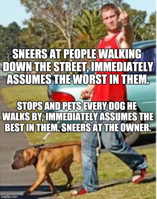 SNEERS AT PEOPLE WALKING DOWN THE STREET, IMMEDIATELY ASSUMES THE WORST IN THEM. STOPS AND PETS EVERY DOG HE WALKS BY, IMMEDIATELY ASSUMES THE BEST IN THEM. SNEERS AT THE OWNER. | image tagged in dog owner douchebag | made w/ Imgflip meme maker