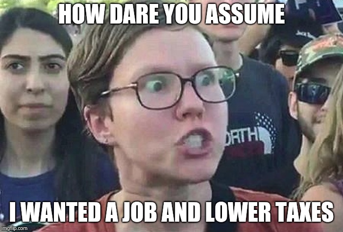 Triggered Liberal | HOW DARE YOU ASSUME I WANTED A JOB AND LOWER TAXES | image tagged in triggered liberal | made w/ Imgflip meme maker