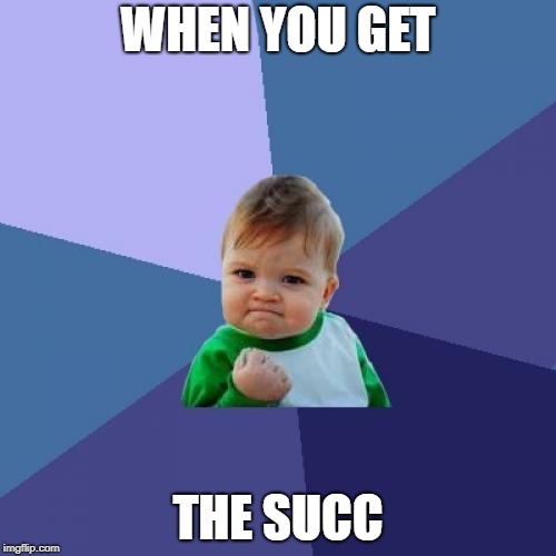 Success Kid | WHEN YOU GET; THE SUCC | image tagged in memes,success kid | made w/ Imgflip meme maker