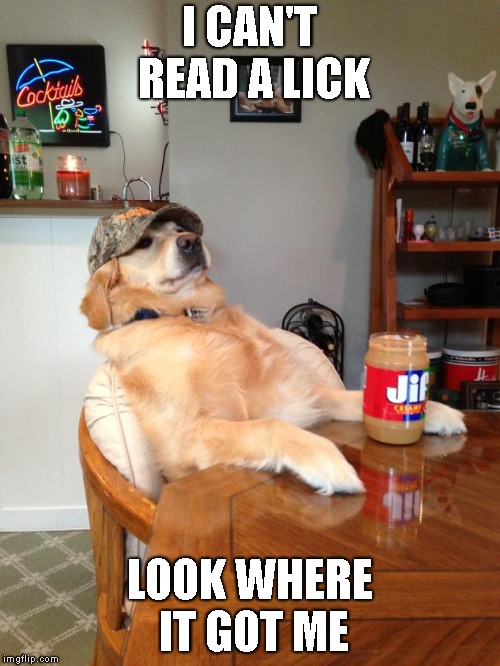 redneck dog | I CAN'T READ A LICK LOOK WHERE IT GOT ME | image tagged in redneck dog | made w/ Imgflip meme maker