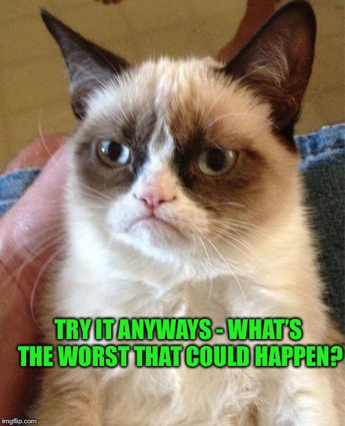 Grumpy Cat Meme | TRY IT ANYWAYS - WHAT’S THE WORST THAT COULD HAPPEN? | image tagged in memes,grumpy cat | made w/ Imgflip meme maker