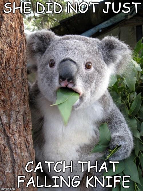 Surprised Koala Meme | SHE DID NOT JUST; CATCH THAT FALLING KNIFE | image tagged in memes,surprised koala | made w/ Imgflip meme maker