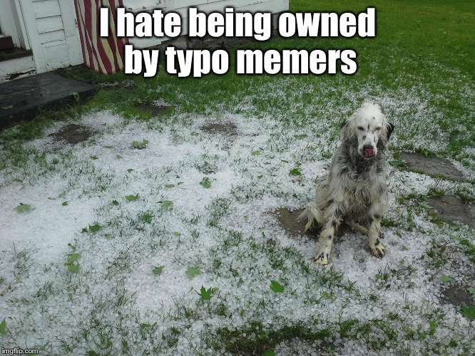 I hate being owned by typo memers | made w/ Imgflip meme maker