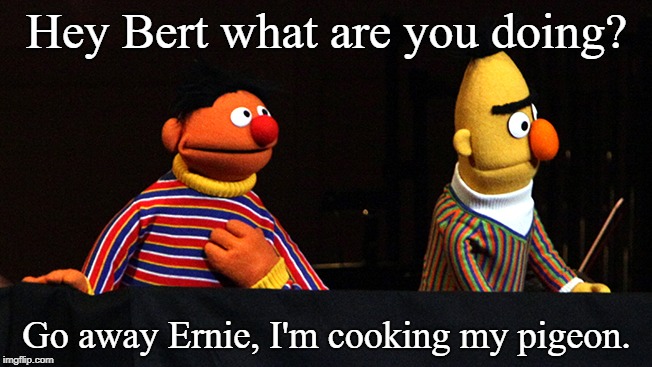 Bert and Ernie save the world. | Hey Bert what are you doing? Go away Ernie, I'm cooking my pigeon. | image tagged in sesame street,the muppets,pigeons | made w/ Imgflip meme maker