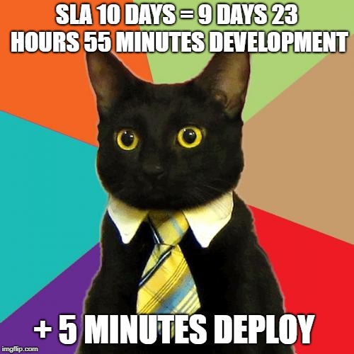 Office cat | SLA 10 DAYS = 9 DAYS 23 HOURS 55 MINUTES DEVELOPMENT; + 5 MINUTES DEPLOY | image tagged in office cat,sla | made w/ Imgflip meme maker