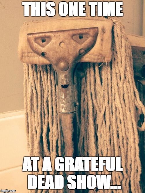 Dirty Hippie | image tagged in mop,grateful dead,hippie | made w/ Imgflip meme maker