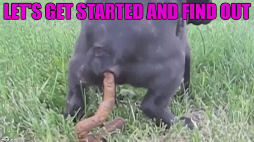 LET'S GET STARTED AND FIND OUT | made w/ Imgflip meme maker