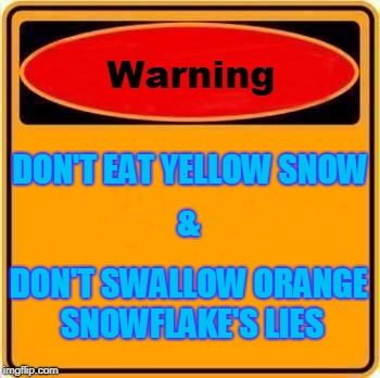 WARNING | DON'T EAT YELLOW SNOW; &; DON'T SWALLOW ORANGE SNOWFLAKE'S LIES | image tagged in memes,warning sign | made w/ Imgflip meme maker