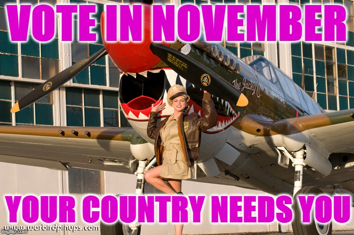 VOTE IN NOVEMBER; YOUR COUNTRY NEEDS YOU | image tagged in wwii pinup | made w/ Imgflip meme maker