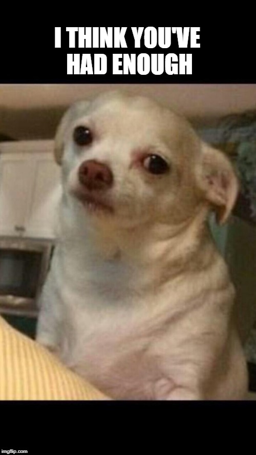 Concerned chihuahua | I THINK YOU'VE HAD ENOUGH | image tagged in concerned chihuahua | made w/ Imgflip meme maker