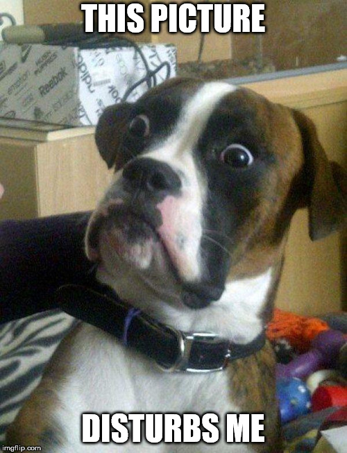 Blankie the Shocked Dog | THIS PICTURE DISTURBS ME | image tagged in blankie the shocked dog | made w/ Imgflip meme maker
