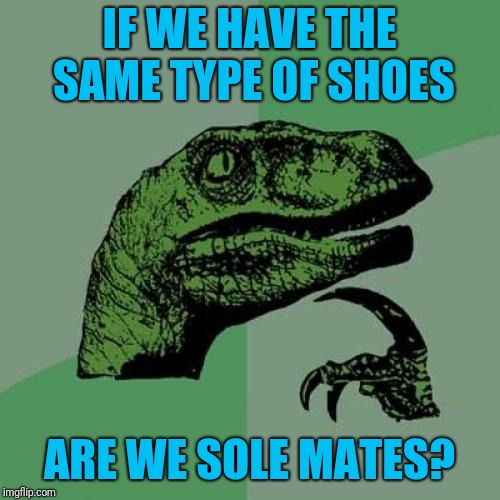 Philosoraptor Meme | IF WE HAVE THE SAME TYPE OF SHOES; ARE WE SOLE MATES? | image tagged in memes,philosoraptor | made w/ Imgflip meme maker