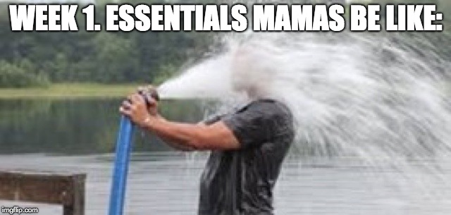 Essentials | WEEK 1. ESSENTIALS MAMAS BE LIKE: | image tagged in essentials | made w/ Imgflip meme maker