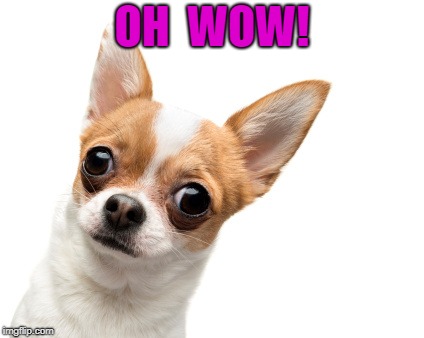 OH  WOW! | made w/ Imgflip meme maker