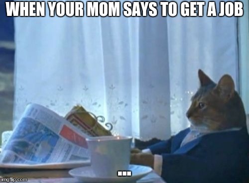 I Should Buy A Boat Cat Meme | WHEN YOUR MOM SAYS TO GET A JOB; ... | image tagged in memes,i should buy a boat cat | made w/ Imgflip meme maker