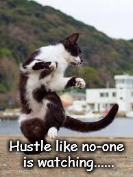 Hustle Like No-one is watching..... | Hustle like no-one is watching...... | image tagged in cats,dance,hustle | made w/ Imgflip meme maker
