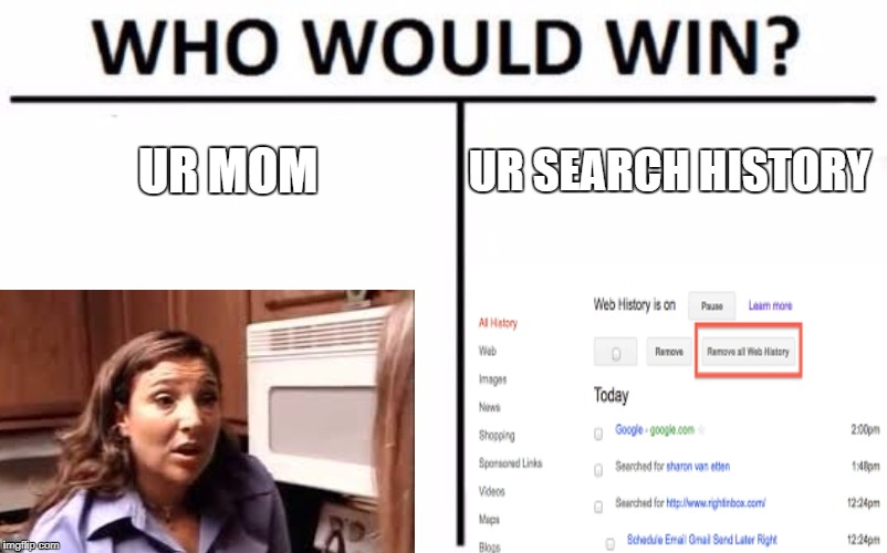 Who Would Win? Meme | UR MOM; UR SEARCH HISTORY | image tagged in memes,who would win | made w/ Imgflip meme maker
