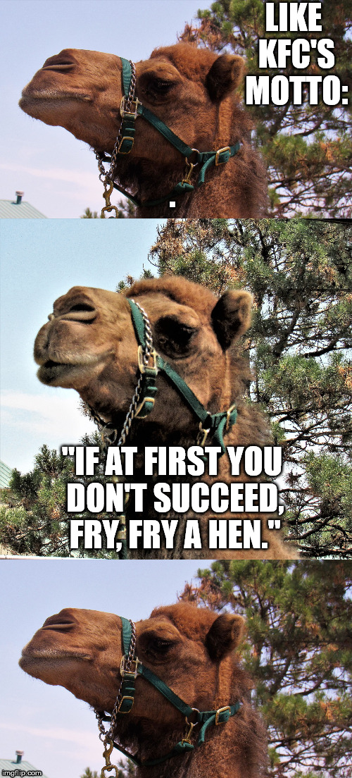 camel joker | LIKE KFC'S MOTTO: "IF AT FIRST YOU DON'T SUCCEED, FRY, FRY A HEN." | image tagged in camel joker | made w/ Imgflip meme maker