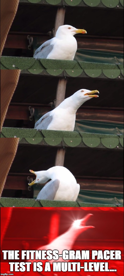 Inhaling Seagull Meme | THE FITNESS-GRAM PACER TEST IS A MULTI-LEVEL... | image tagged in memes,inhaling seagull | made w/ Imgflip meme maker