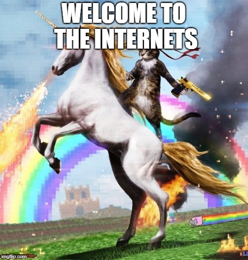 Welcome To The Internets | WELCOME TO THE INTERNETS | image tagged in memes,welcome to the internets | made w/ Imgflip meme maker
