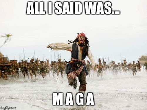 Jack Sparrow Being Chased Meme | ALL I SAID WAS... M A G A | image tagged in memes,jack sparrow being chased | made w/ Imgflip meme maker